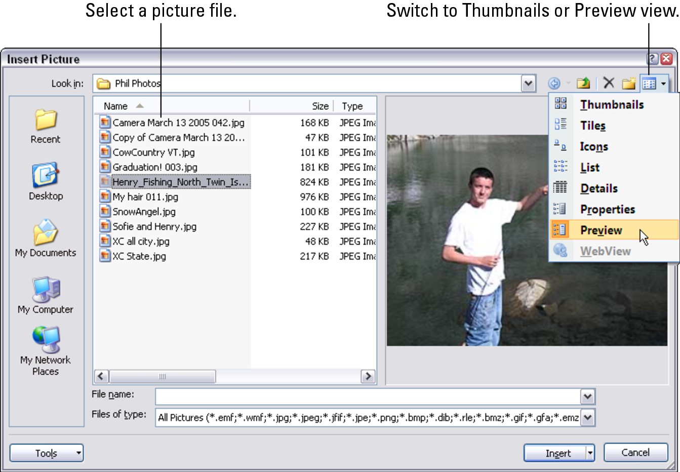 Figure 3-2: You can preview a picture file before you insert it.